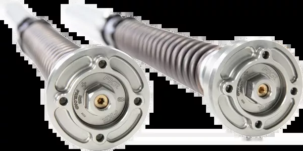 Ohlins Fork Cartridge Kit (FKR221)