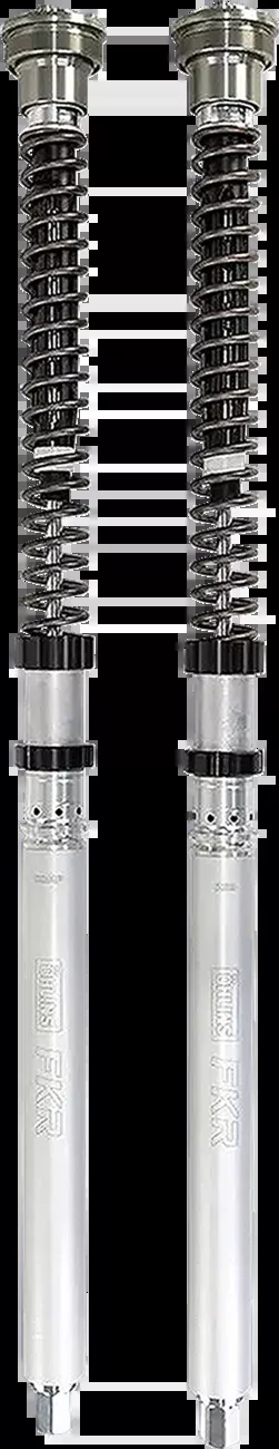 Ohlins Fork Cartridge Kit (FKR222)