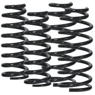 Old Man Emu 2889 Coil Spring Springs Coil