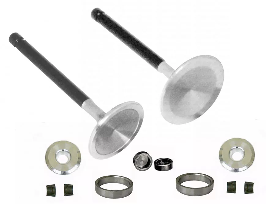 Oversized Stainless Steel Valve Kit or 196cc Clone & Predator Engine 212cc (1st Gen.)