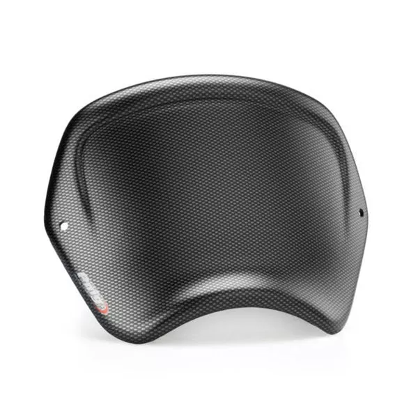 Puig Front Plate (ABS) TRI T100 18 Carbon