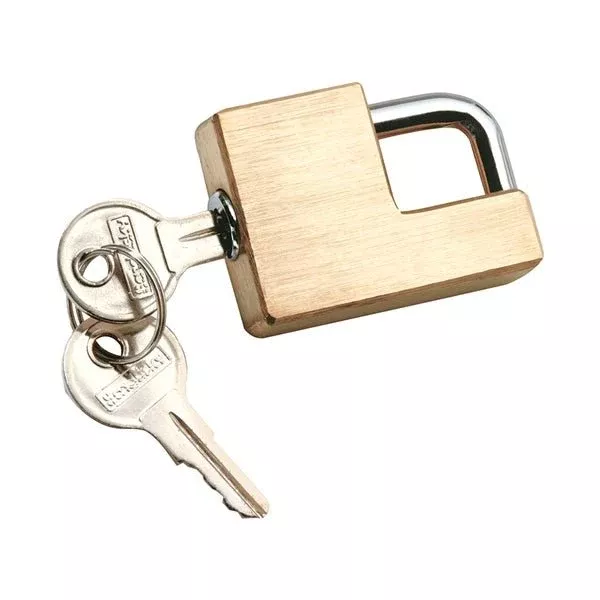 Reese Towpower Trailer Hitch Coupler Lock