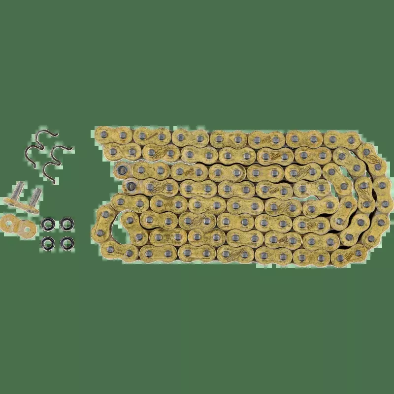 Regina Chain 520 HPE 102 Links