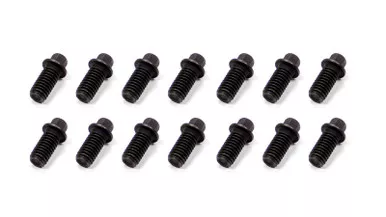 Schoenfeld Header Bolt 3/8-16x3/4in 5/16 Head 14pk 3006-14