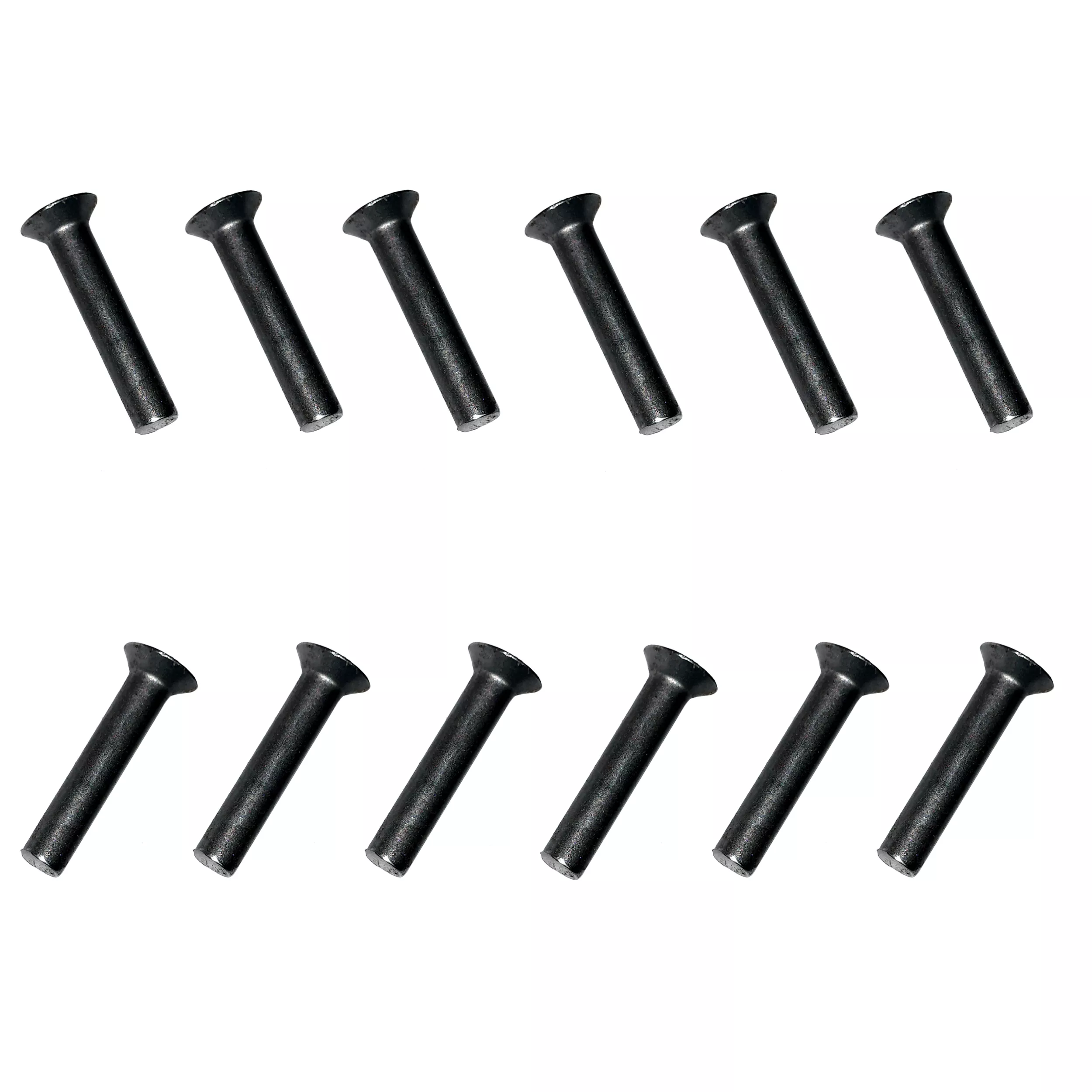 Set of (12) Kickstart Rachet Plate Rivets (1954-70 Sportster)