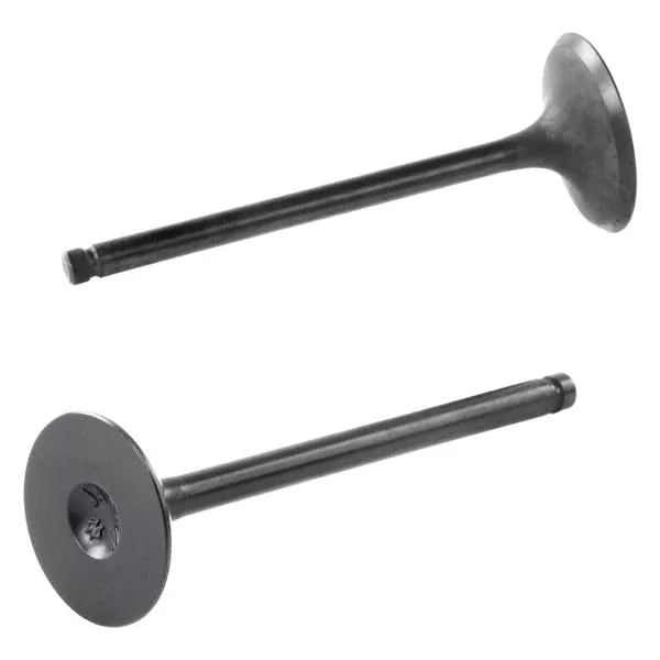 Shindy Engine Valve Kit