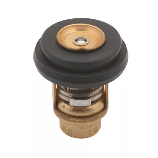 Sierra Kit Thermostat (18-43175)