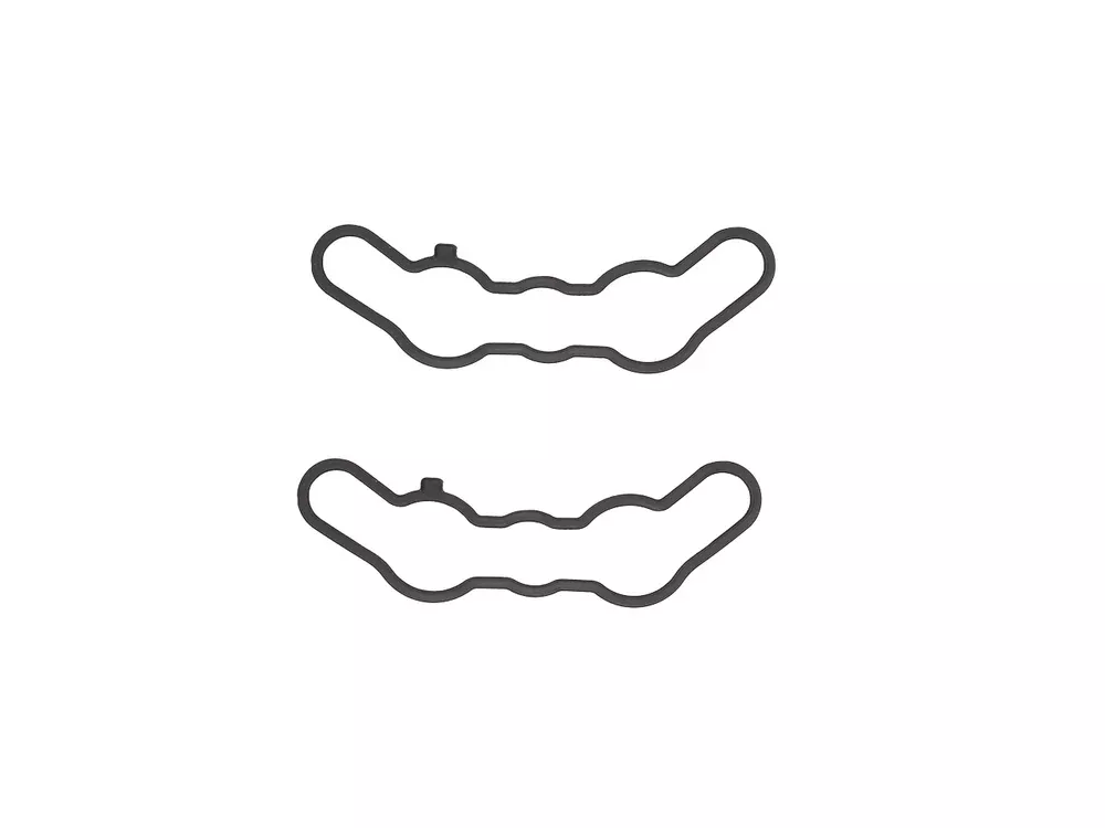Sp1 Exhaust Valve Gasket SET POL - SM-09506E-2