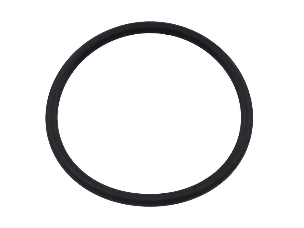 Sp1 Fuel Pump Seal – SM-07263 Ski-Doo Snowmobiles 2017-2023