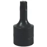 T55 TORX BIT