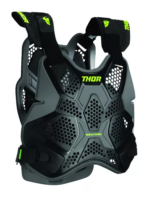 Thor Sentinel Pro Roost Guard