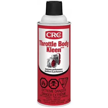 THROTTLE BODY CLEANER