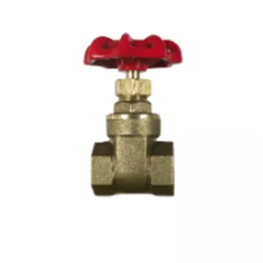 VALVE GATE BR 3/4IN FNPT