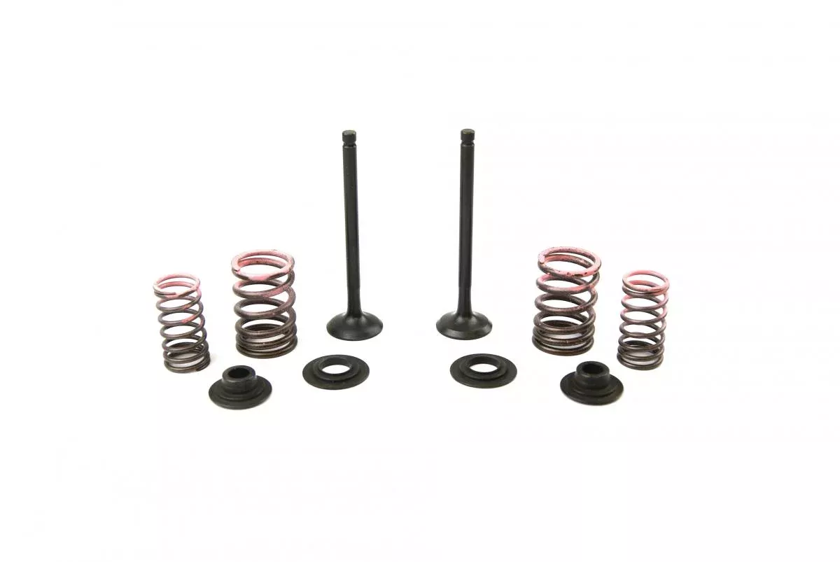 VALVE KIT EXHAUST CRF110F, PSYCHIC XU-09558EK