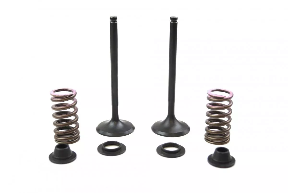VALVE KIT EXHAUST YZF450 10-13, PSYCHIC XU-09541EK