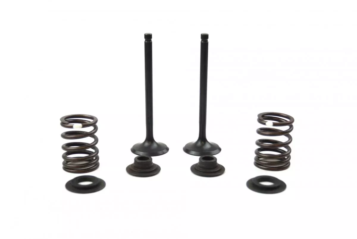 VALVE KIT INTAKE CRF110F, PSYCHIC XU-09558IK