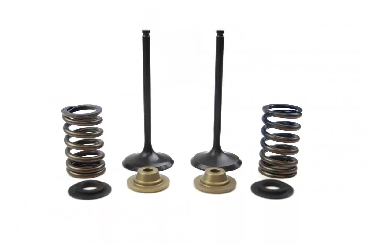 VALVE KIT INTAKE KX250F, PSYCHIC XU-09515IK 09-10