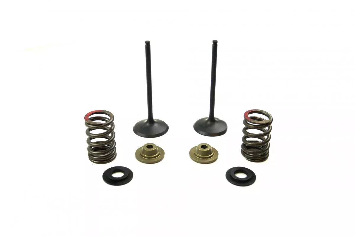 VALVE KIT INTAKE KX250F, PSYCHIC XU-09539IK 11-16