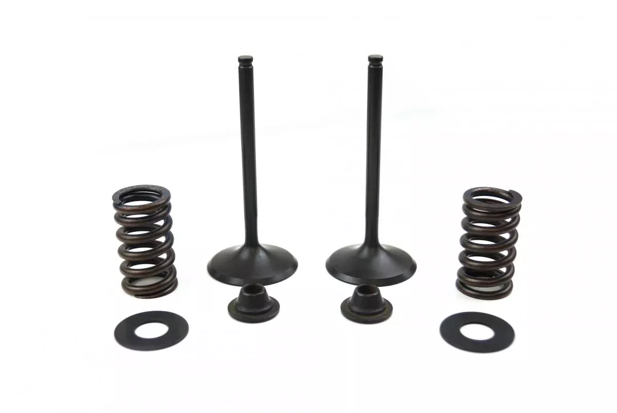 VALVE KIT INTAKE KX450F, PSYCHIC XU-09164IK 06-08