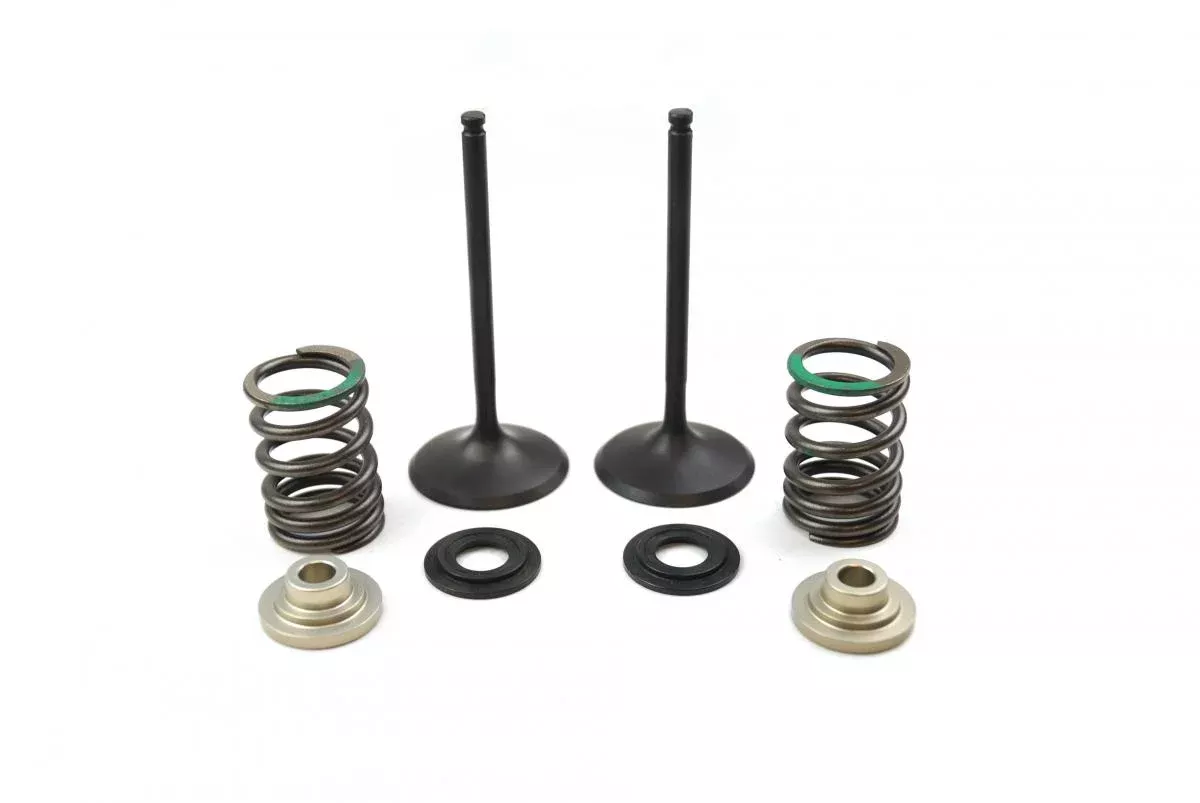 VALVE KIT INTAKE RMZ450 05-06, PSYCHIC XU-09536IK