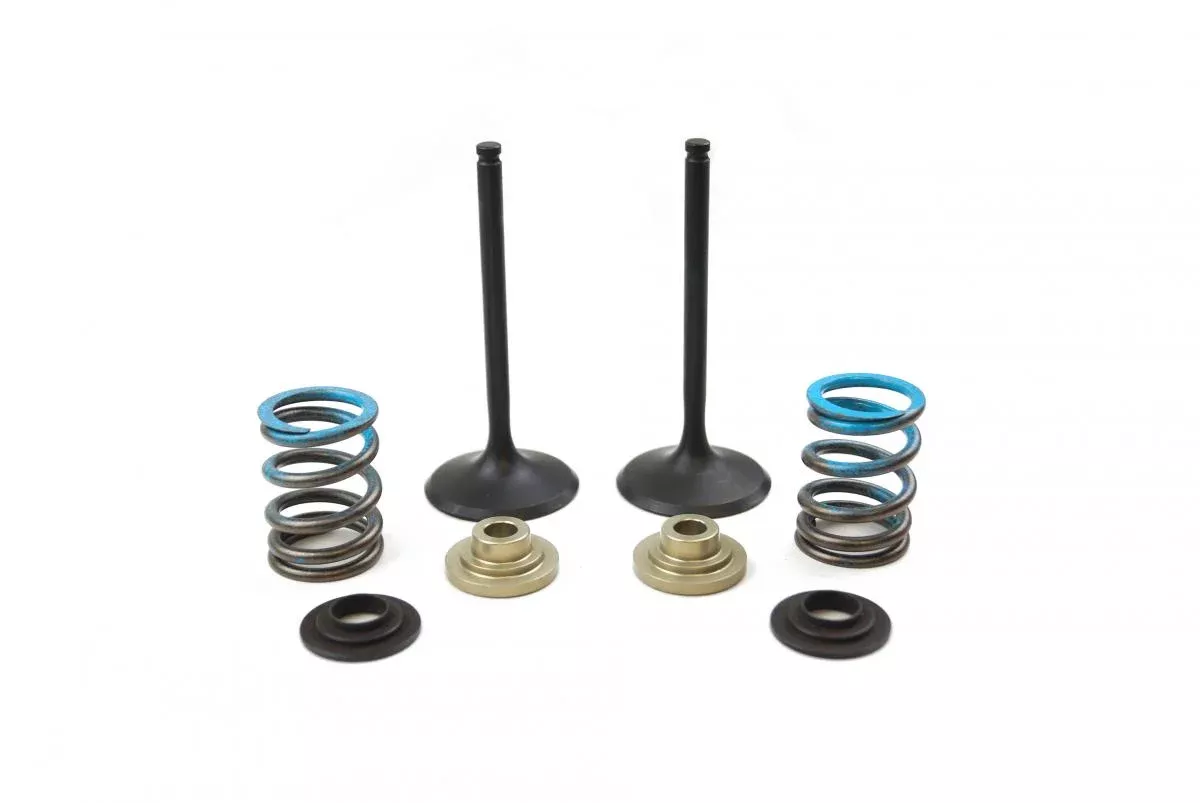 VALVE KIT INTAKE RMZ450 08-15, PSYCHIC XU-09527IK RMX450