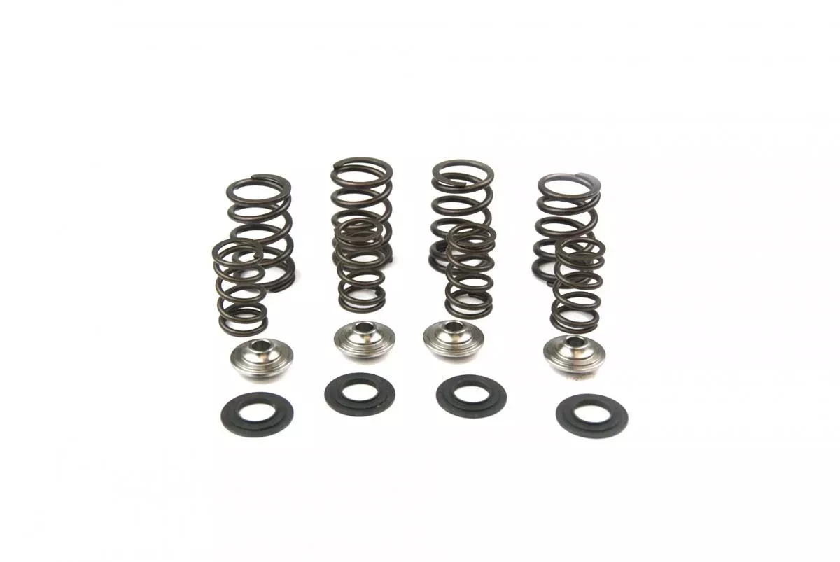 VALVE SPRING KIT KTM250 05-07, KIBBLEWHITE 96-96090 RACING