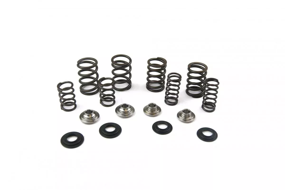 VALVE SPRING SET RMZ450 05-06, KIBBLEWHITE 60-60240 RACING, LIGHTWEIGHT RACING