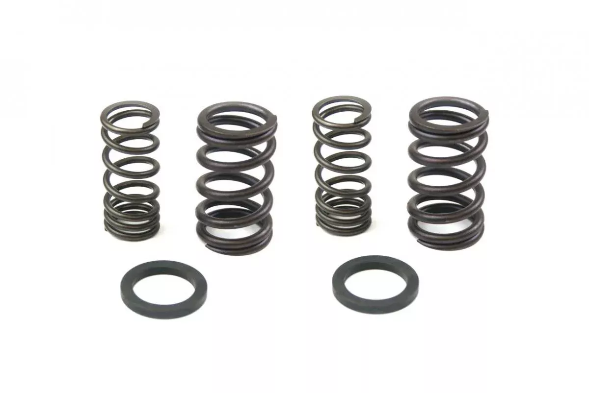 VALVE SPRING SET XR/XL200R, 1980-2002 KIBBLEWHITE 30-4016