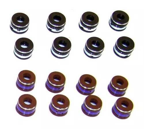 Valve Stem Oil Seal Set 1986-1992 Ford 7.5L