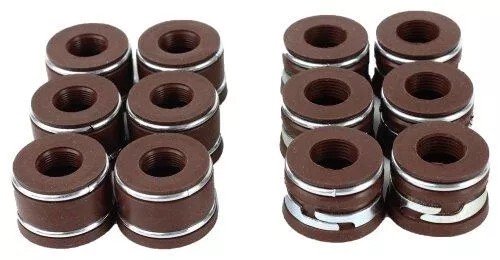 Valve Stem Oil Seal Set 1991-1992 Ford 4.9L