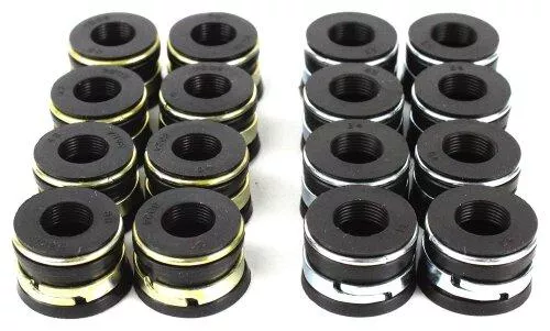 Valve Stem Oil Seal Set 1992-1997 Ford 7.5L