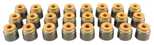 Valve Stem Oil Seal Set 1998-2002 Dodge 5.9L
