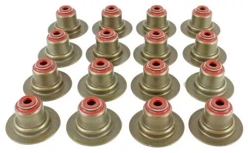 Valve Stem Oil Seal Set 1999-2008 Chevrolet,Daewoo 1.6L