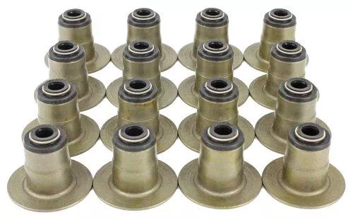 Valve Stem Oil Seal Set 2003-2008 Chrysler,Dodge,Jeep 5.7L