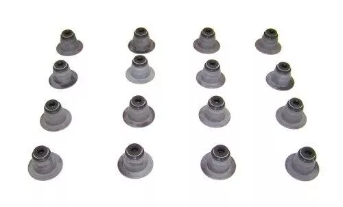 Valve Stem Oil Seal Set 2004-2006 Chevrolet,GMC,Isuzu 2.8L