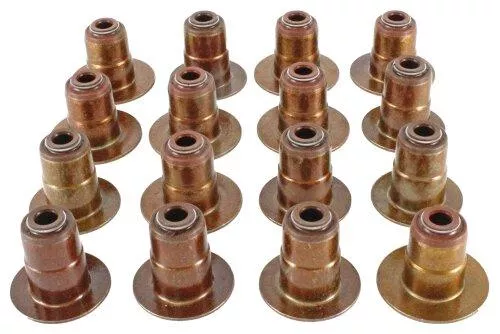 Valve Stem Oil Seal Set 2005-2010 Chrysler,Dodge,Jeep 6.1L