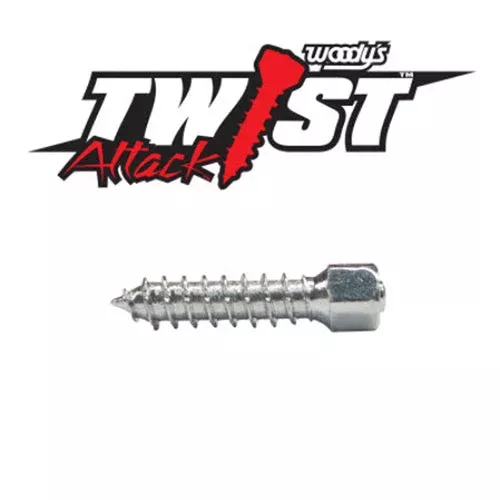 Woodys Attack Carbide Tire Screw -1000 WST-0625-1000
